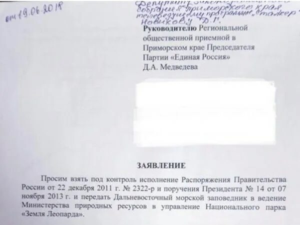 Чем отличается врио от ио