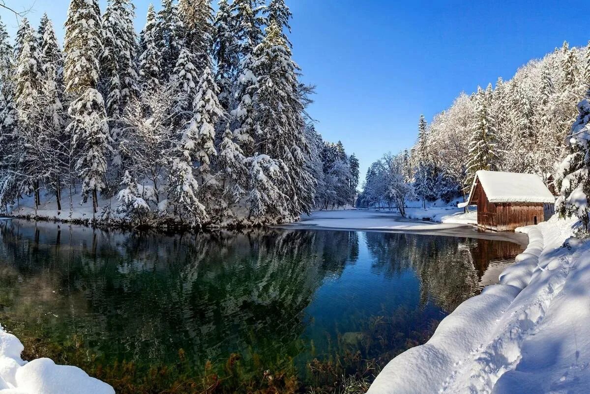 Зимние картинки. Зимний пейзаж. Зимняя природа. Красивая зима. Красота зимы.