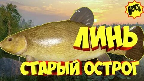Как фармить в рр4