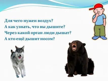 Зачем нужен воздух