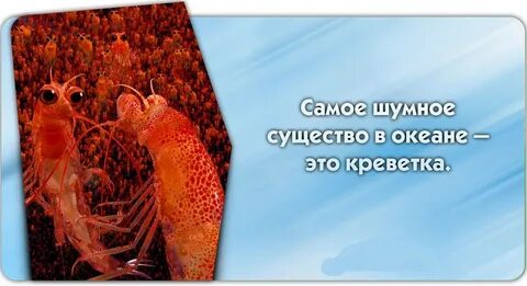 Поражающие факты
