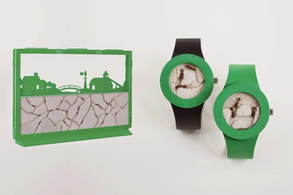 человек-муравей и оса фильм 2018. Ant3-11. часики для муравьев. Ant watch. муравей в пипетке.