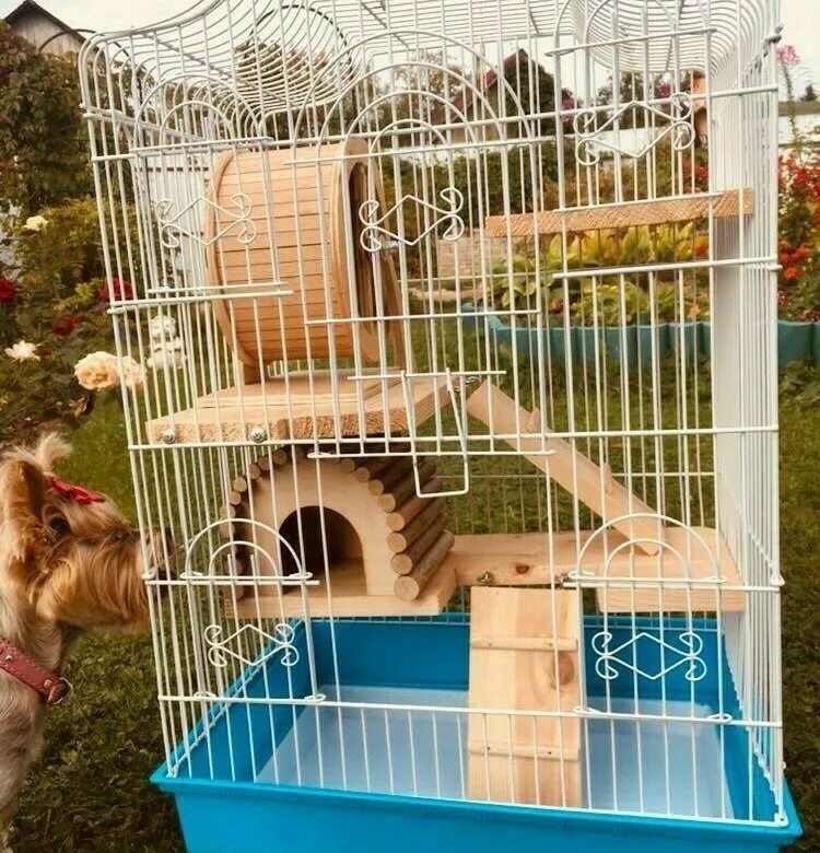 Клетка для белок. Клетка для шиншиллы. Клетка для бурундука. Витрина для шиншиллы и дегу. Белка дегу клетка.