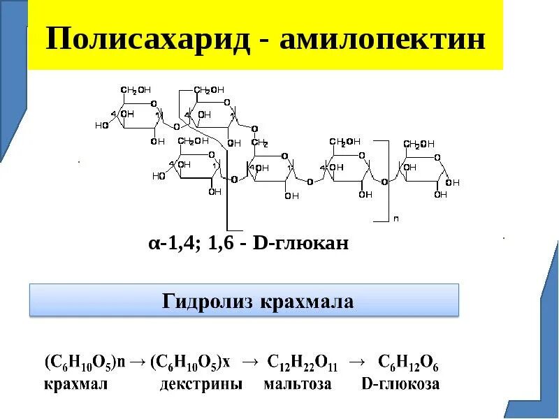 Полисахариды вступают в реакцию