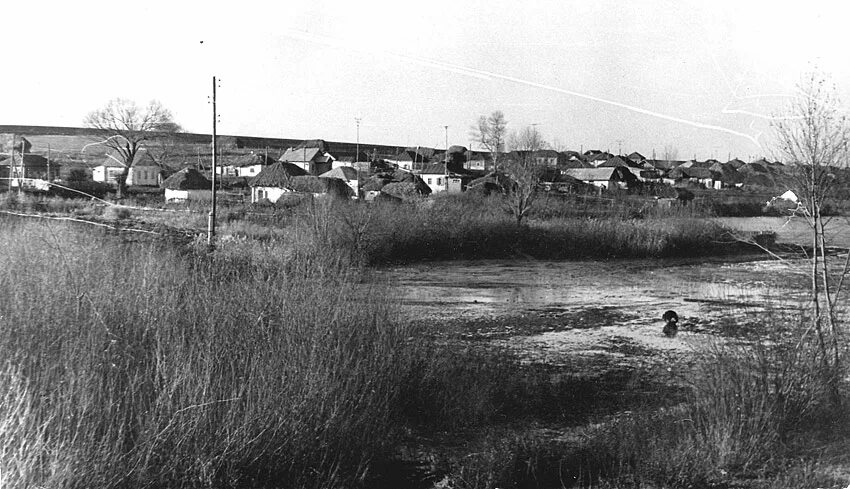 Македоновка саратовская область татищевский. Македоновка саратовская область татищевский. Македоновка саратовская область татищевский. Фото македоновка. Македоновка луганская область.