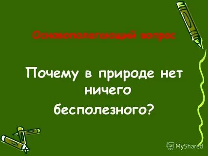 В природе нет ничего