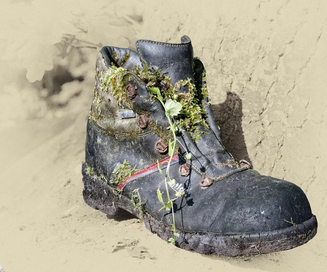 Bad boot. Bad boot. Изношенные кожаные ботинки. Bad boot. Старые ботинки на шнурках.