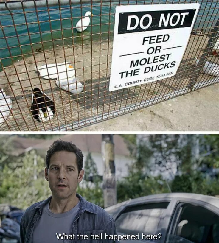 What the hell happened. What the hell happened here. what the hell happened here meme. what happened here. here&#039;s what happened the weekend.