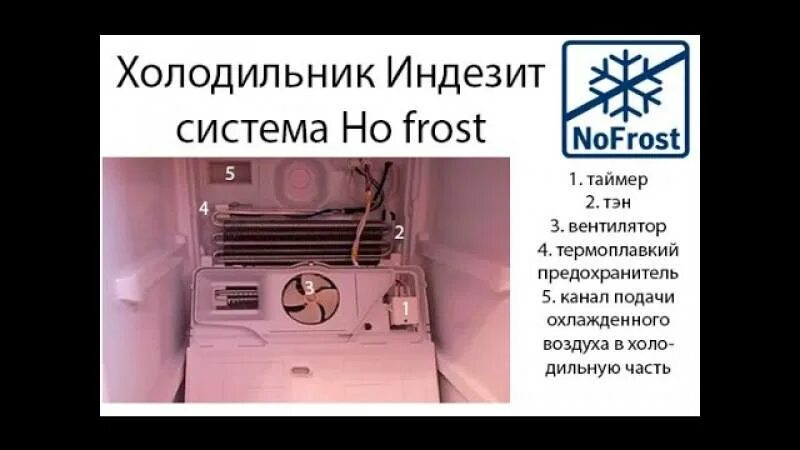 Почему не отключается холодильник индезит двухкамерный. Термостат холодильника samsung no frost. таймер разморозки холодильника индезит ноу фрост.