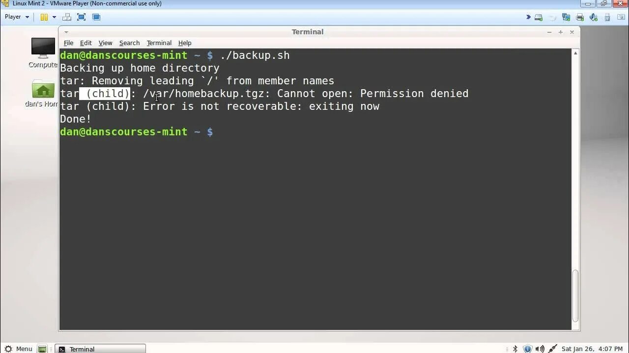 Mint vmware