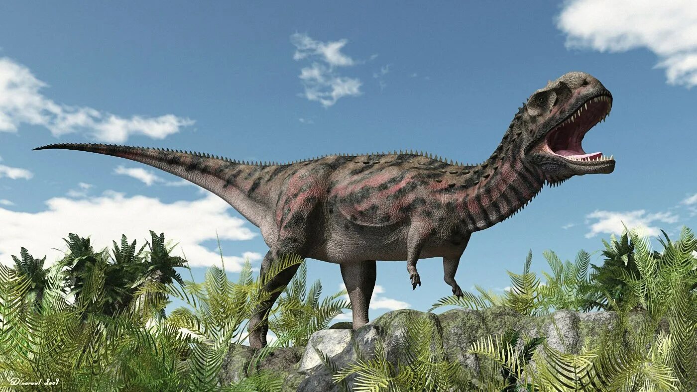 Майюнгазавр. Тероподы Майюнгазавр. Маюнгазвар. Майюнгазавр динозавр. Майюнгазавр рекс.