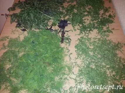 Как засушить зелень