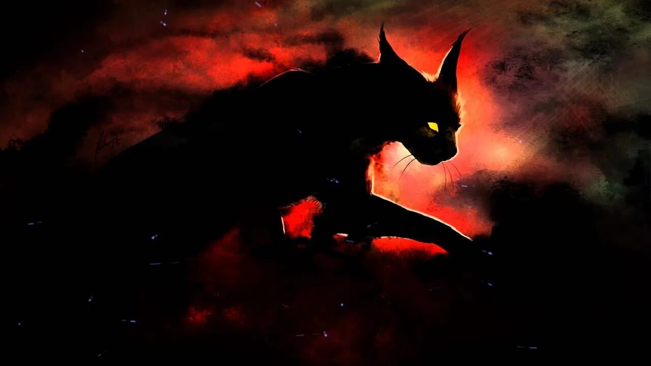 Страшные коты ночью
