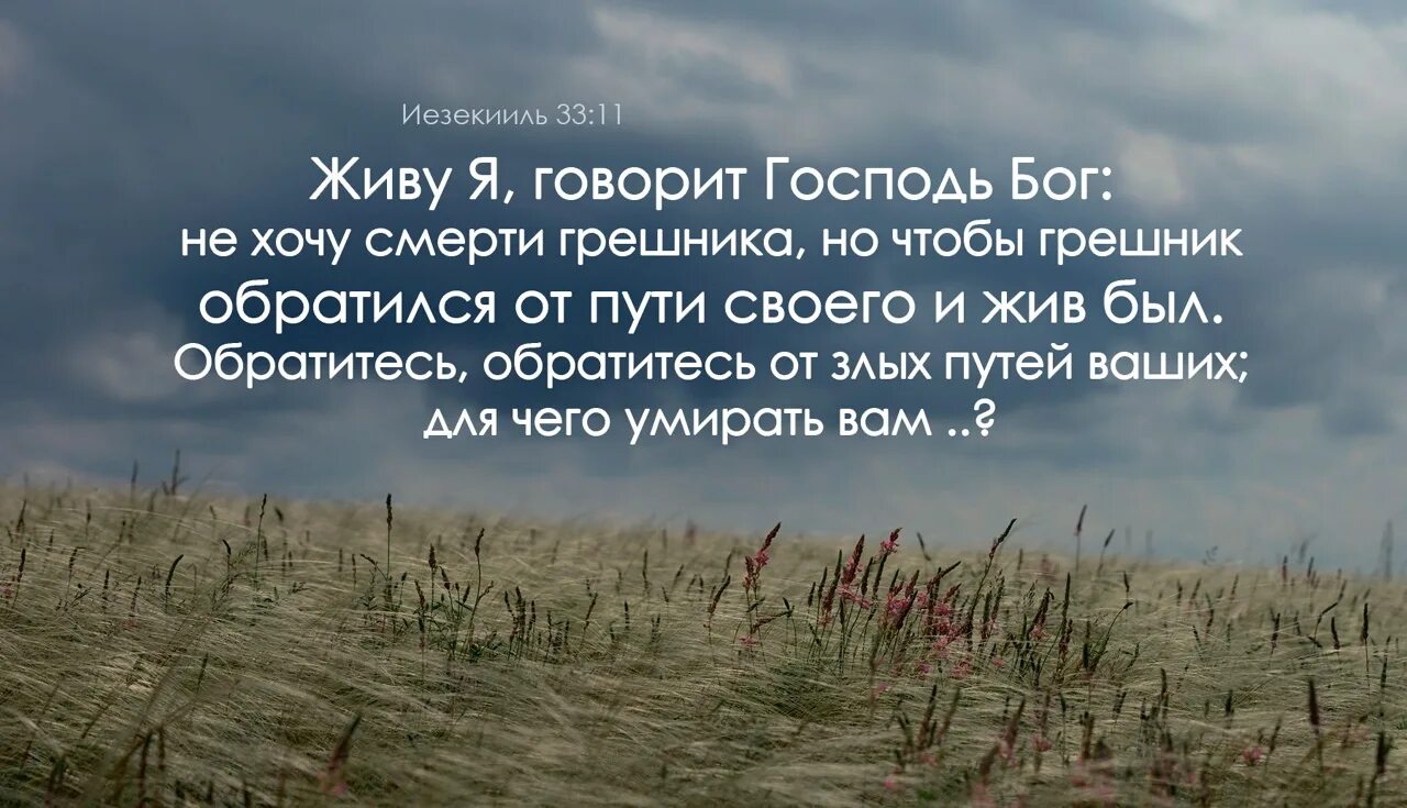 Христианские высказывания. Жив Господь. Бог живой Библия. Жив Господь и жива душа моя Библия. Я болен я умираю на твоем пути