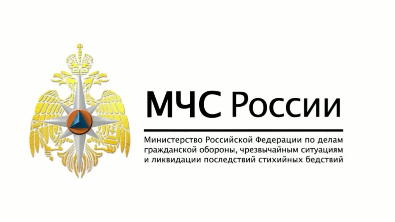 Структуры входящие в состав мчс. Силы и средства министерства чс. Символ мчс. Форма в институте мчс. Мчс картинки.