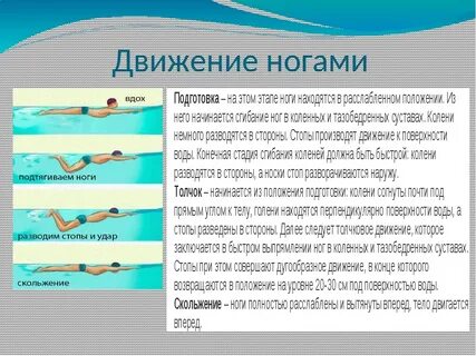 Техника брасса в плавании