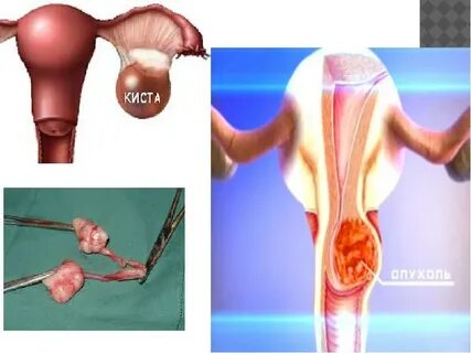 Пәк қыздың секс видеосы