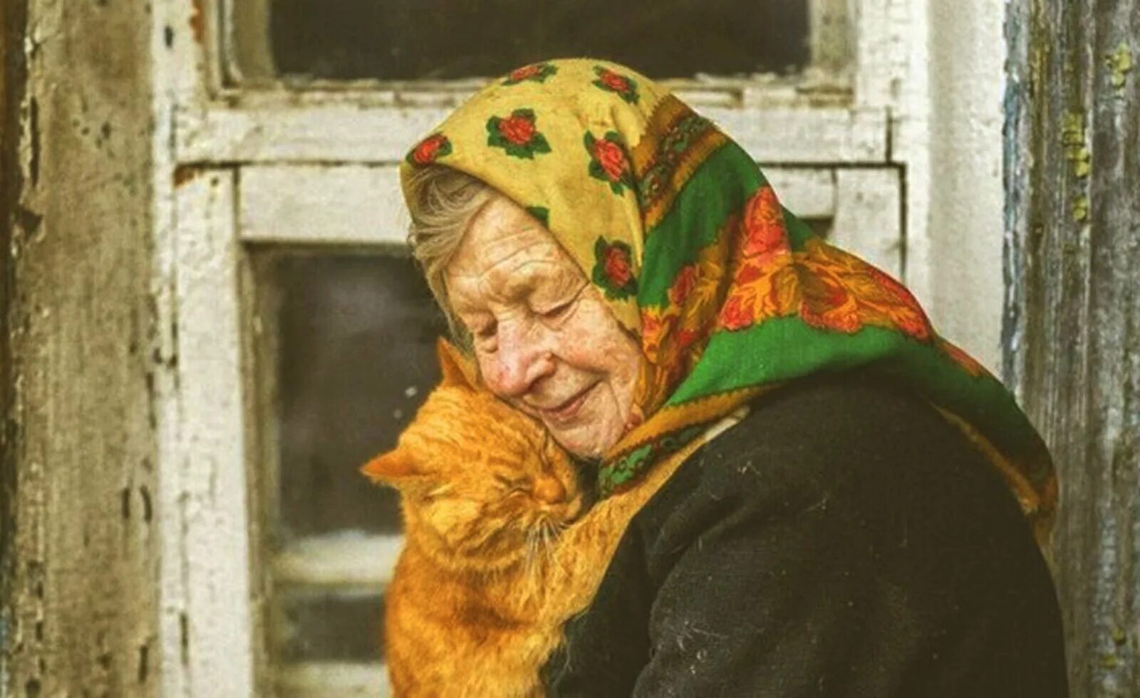 Моя бабушка много работает и совсем не. Бабушка с котом. бабушка с рыжим котом. бабушка с котенком. старушка с кошкой.