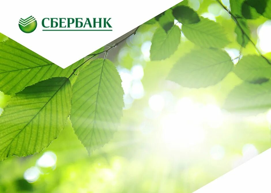 Сбер лист. Сбербанк фон. сбер презентация. заставка на сбербанк. сбербанк фон для презентации.