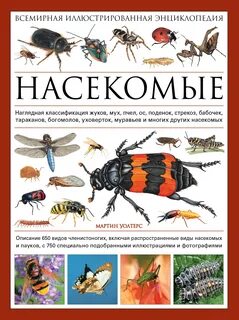 Латинские названия насекомых