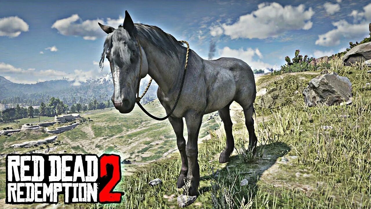 Мустанг rdr 2. Red Dead Redemption 2 Мустанг. Red Dead Redemption 2 Mustang Red. Red Dead Redemption 2 лошади тяжеловесы. Рдр 2 где найти арабскую лошадь