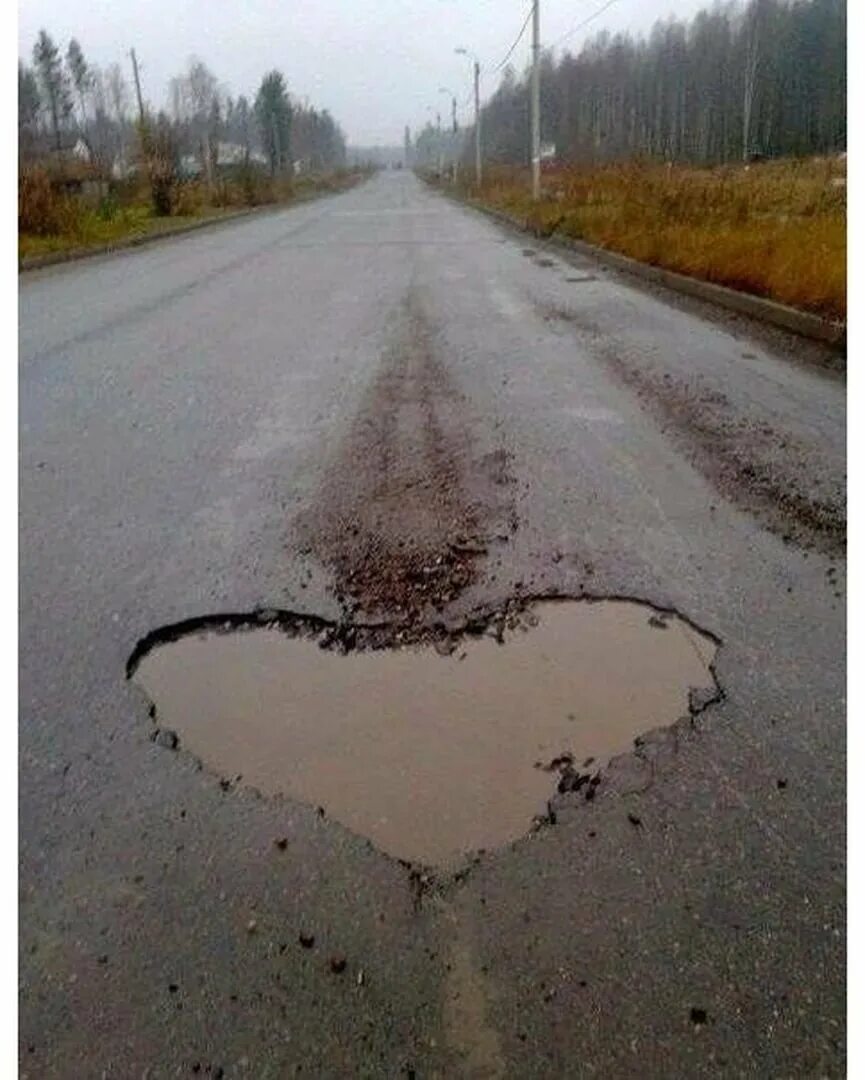 смешно дорогая. приколы на дорогах. шутки про дороги. анекдоты про дороги в россии. шутки про дороги.