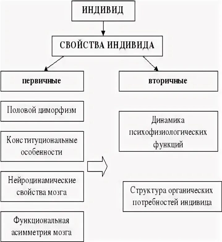 Вторичные свойства индивида. Первичные и вторичные свойства индивида. Первичные свойства индивида. Характеристики индивида в психологии.