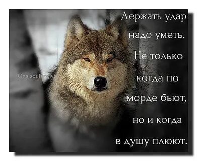 Я могу тебя ударить