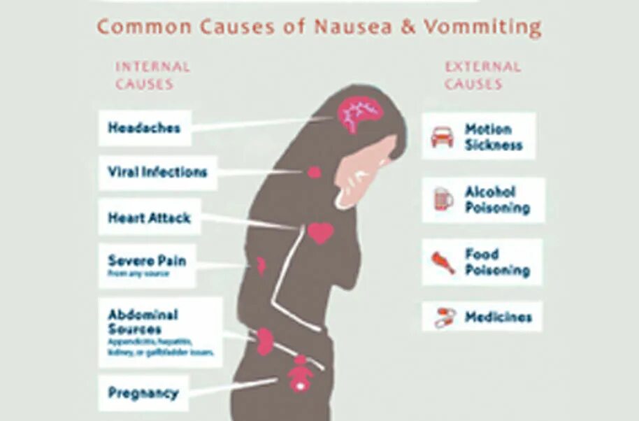 Боль в спине тошнота рвота. Nausea перевод. Nausea предложение со словом. Nausea группа.