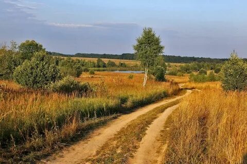 Родное село