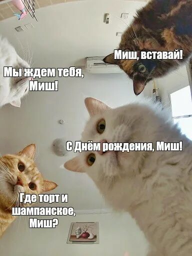 Ну вставай давай. Ну вставай давай