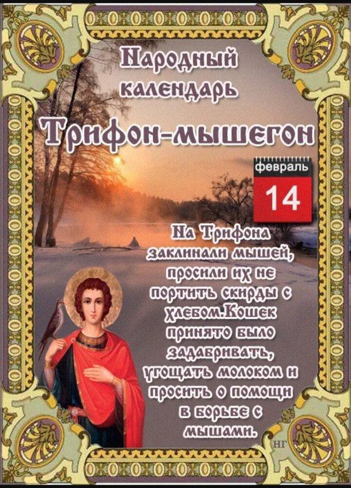 14 Февраля народный календарь. День Святого Трифона 14 февраля. День святого трифона 14 картинки