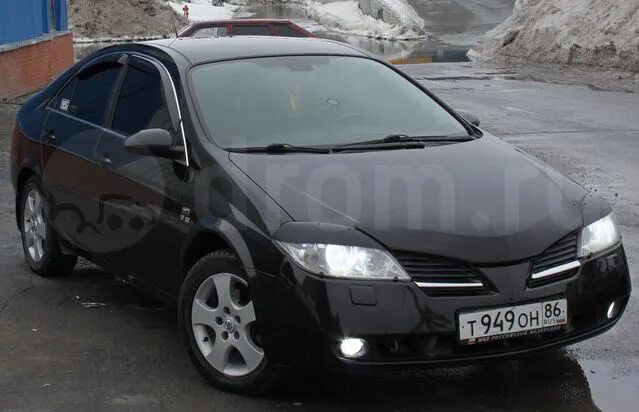 Капот ниссан р12. Nissan primera p12 черный. Nissan primera p12 реснички. Nissan primera p12 с дефлекторами черная. Ниссан примера p12 черная.