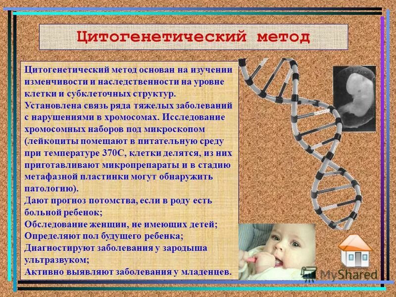 Y хромосома. наследственные заболевания человека вызванные генными мутациями. мутации хромосом. хромосома 5q32. хромосомные наследственные болезни.