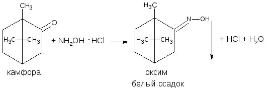 1 камфора. Реакций камфоры с 2,4-динитрофенилгидразином. Образование оксима камфоры. Камфора реакция образования оксимов. Камфора 2 4 динитрофенилгидразин.