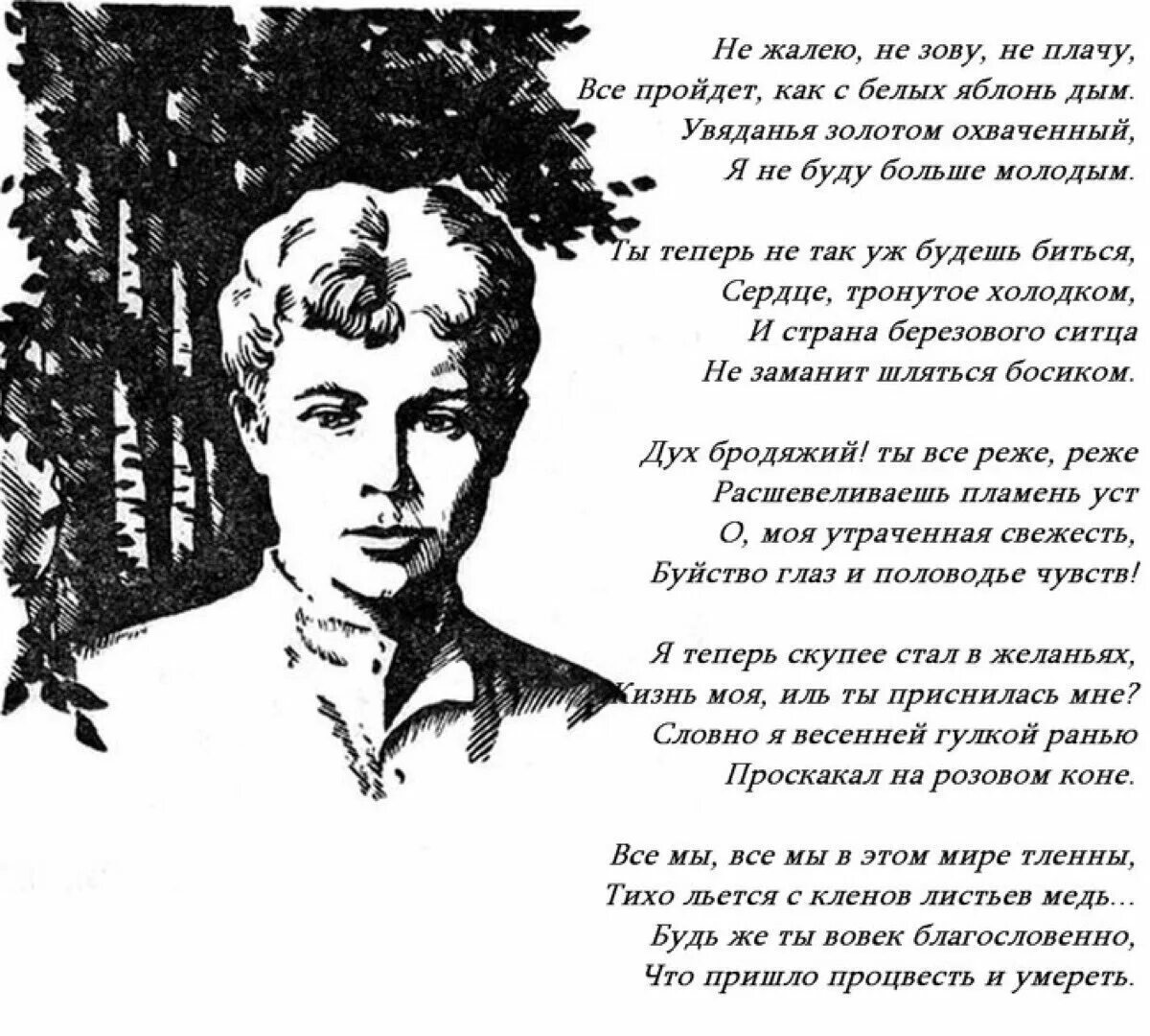 Есенин о любви лучшие. Стихотворение писателя Есенина. Не жалею не зову не плачу Есенин. Стихи Есенина.