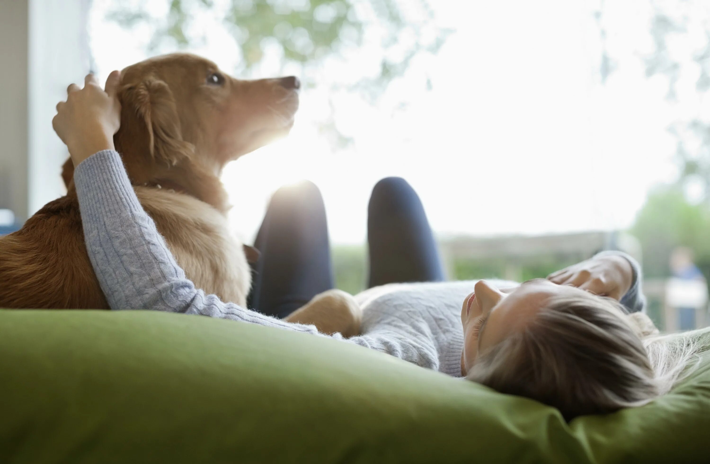 Pets at home