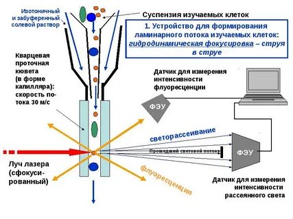 Принцип работы метода