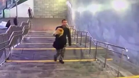 Украли москва миллионов