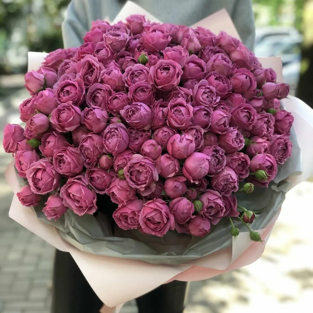 мисти баблс