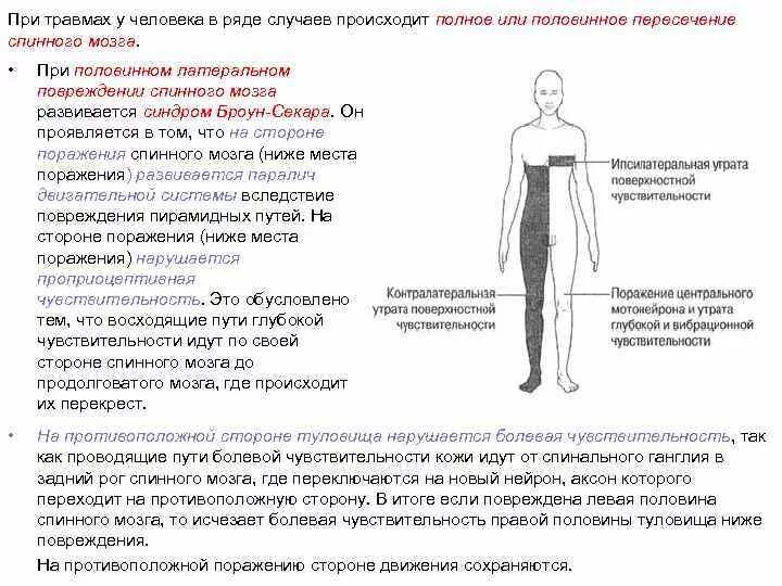 При каких заболеваниях теряется. Нарушение чувствительности. Повреждение спинного мозга. Повреждение спинного мозга симптомы. Понижение чувствительности.