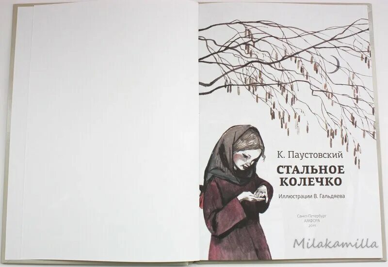 Произведение стальное колечко паустовский. Иллюстрация к произведению Паустовского стальное колечко. Иллюстрация к сказке стальное колечко Паустовский. Паустовский стальное колечко иллюстрации к рассказу. Сказка Паустовского стальное колечко.