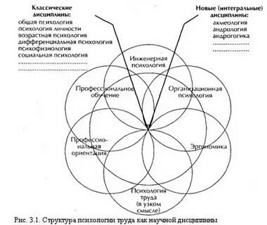 Школы психологии труда