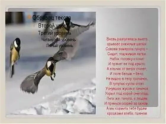 Белым белым кроет