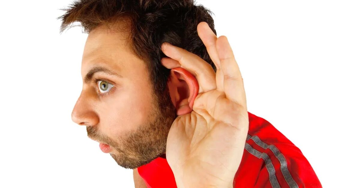You hear that strange noise. Noise. hear. make noise. strange noise.