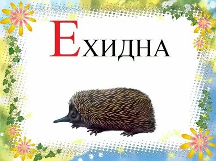 Слова на е рисунок