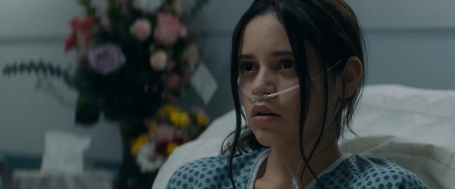 P web dl. P web dl
