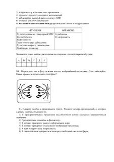 Контрольная работа по биологии цитология