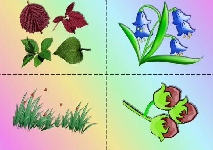 Дидактические игры на тему цветы. Четвертый лишний растения. Лото по теме цветы для малышей. Четвертый лишний растения для дошкольников. Дидактическая игра цветы.