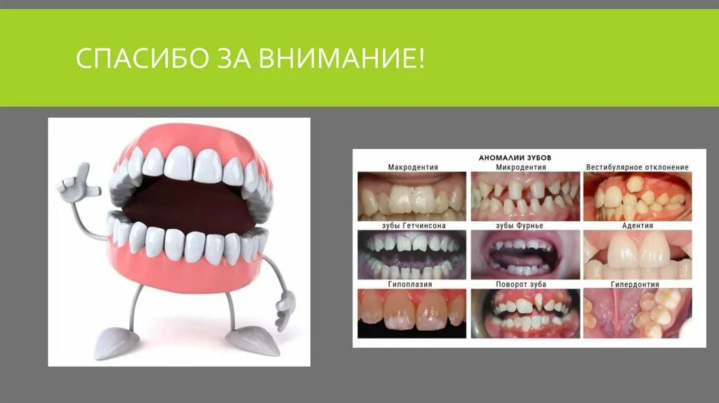 Факторы возникновения зубочелюстных аномалий. Аномалии соотношения зубных дуг. Аномалии зубочелюстной системы. Дефекты зубных рядов. Формы зубных дуг.